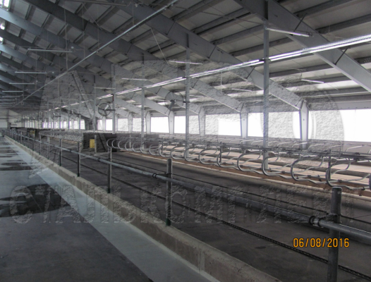 Колхоз им. Горького