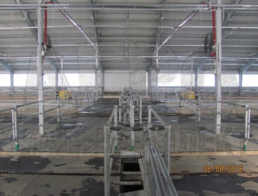 Колхоз им. Горького