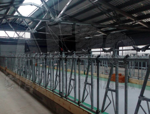 ОАО ”Ильино-Заборское”