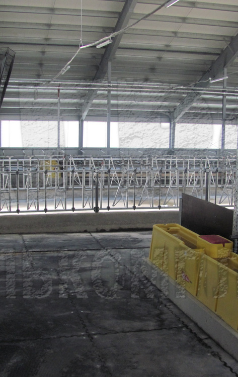 Колхоз им. Горького