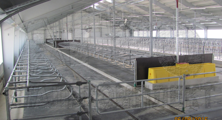 Колхоз им. Горького