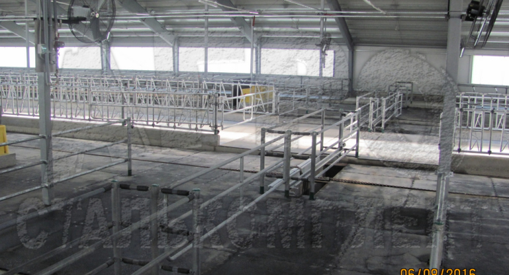 Колхоз им. Горького