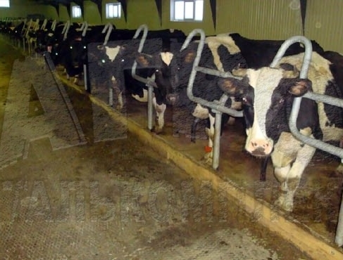 ИП Шармазанова С.П.