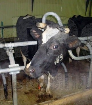 ИП Шармазанова С.П.