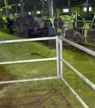 ИП Шармазанова С.П.