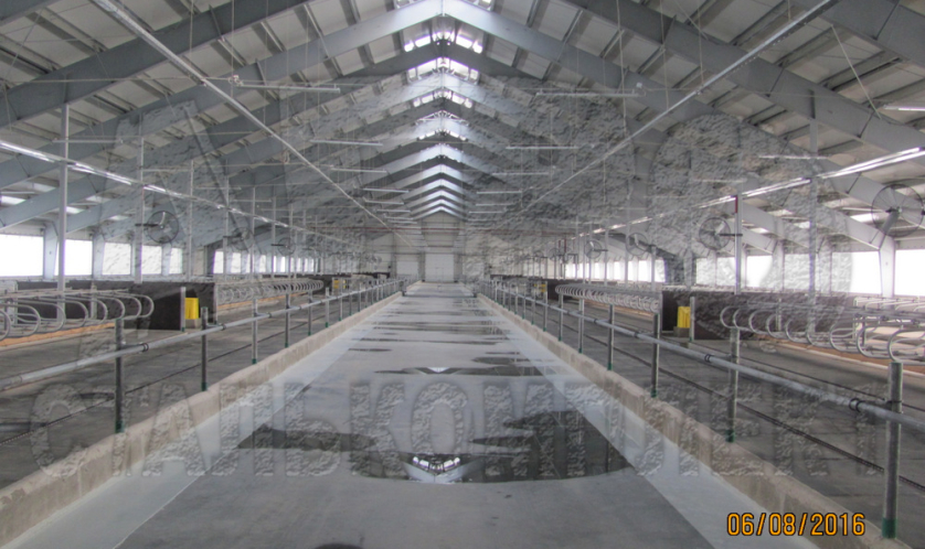 Колхоз им. Горького