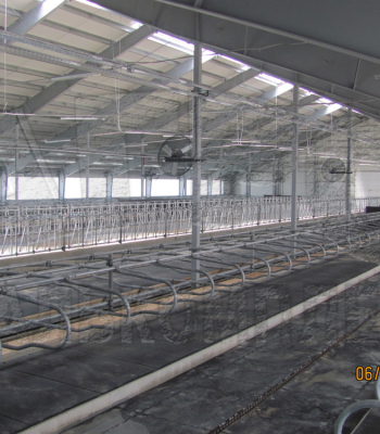 Колхоз им. Горького