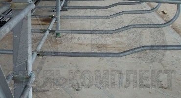 АО «Племзавод «Трудовой»