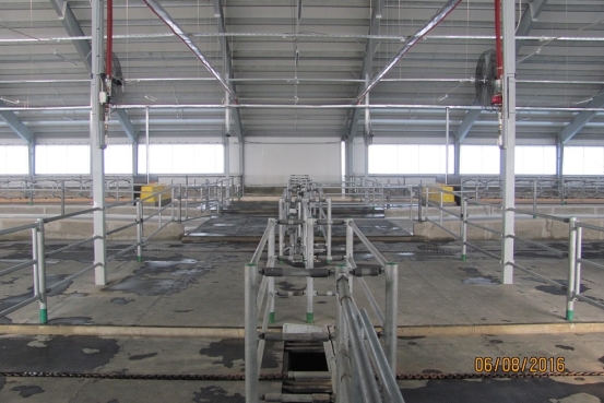 Колхоз им. Горького