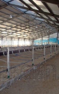 АО «Племзавод «Трудовой»