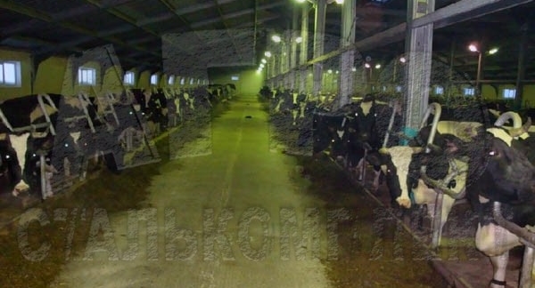 ИП Шармазанова С.П.