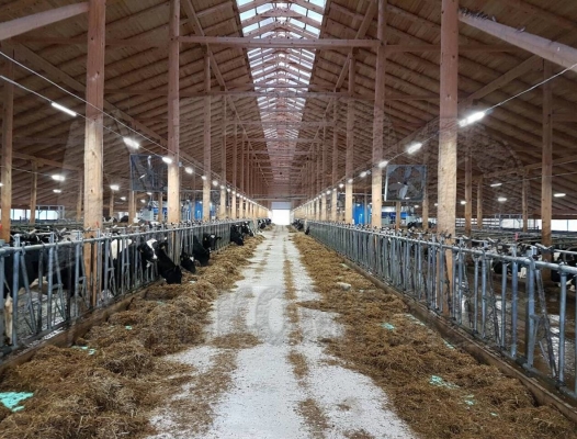 АО "Важское", Архангельская область