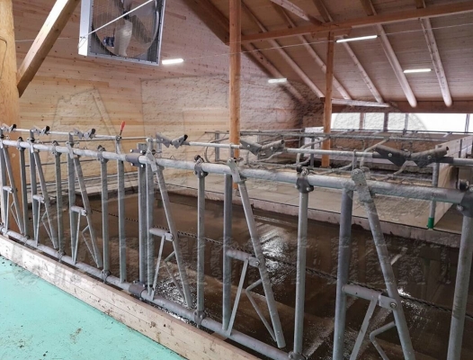 АО "Важское", Архангельская область