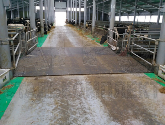 АО "Ильино-Заборское", Нижегородская область