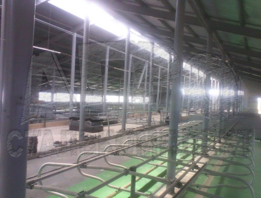 АО "Ильино-Заборское", Нижегородская область