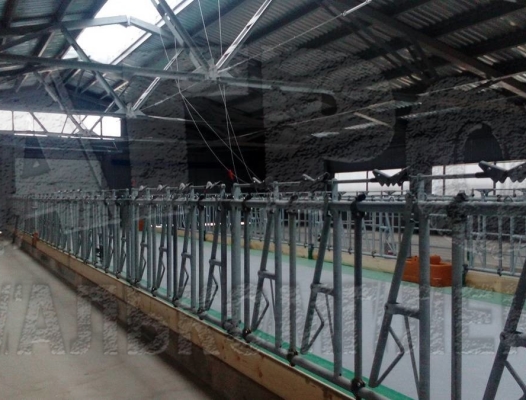 АО "Ильино-Заборское", Нижегородская область