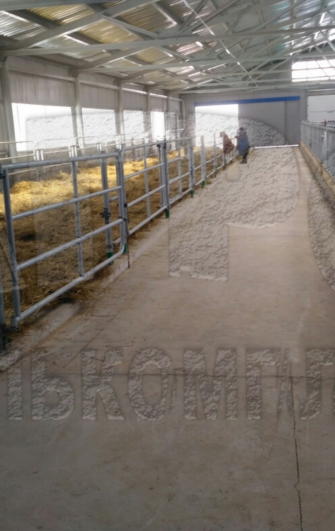 АО "Ильино-Заборское", Нижегородская область