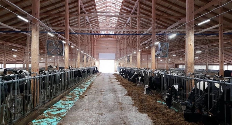 АО "Важское", Архангельская область