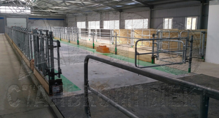 АО "Ильино-Заборское", Нижегородская область