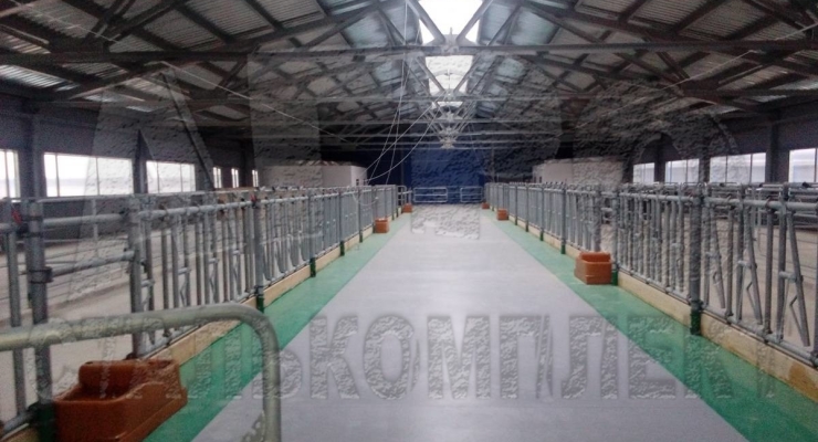 АО "Ильино-Заборское", Нижегородская область