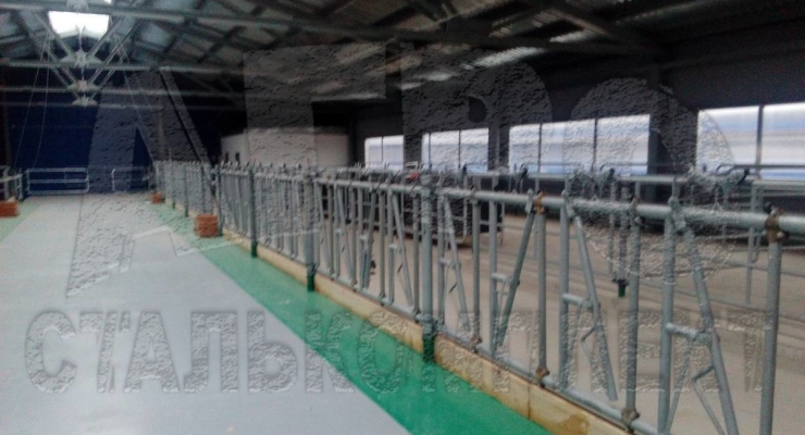 АО "Ильино-Заборское", Нижегородская область