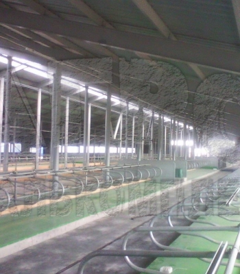 АО "Ильино-Заборское", Нижегородская область