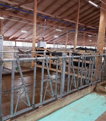 АО "Важское", Архангельская область