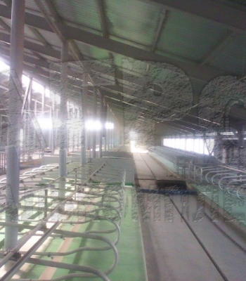 АО "Ильино-Заборское", Нижегородская область