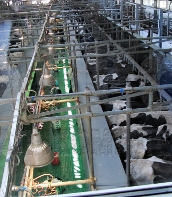 АО «Племзавод «Трудовой»