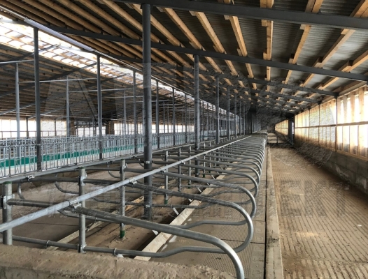 Беспривязное содержание