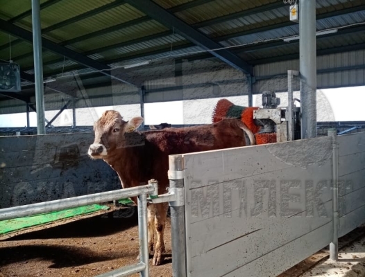 Ограждения для скотопрогона