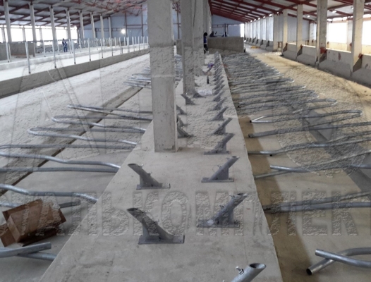 Беспривязное содержание