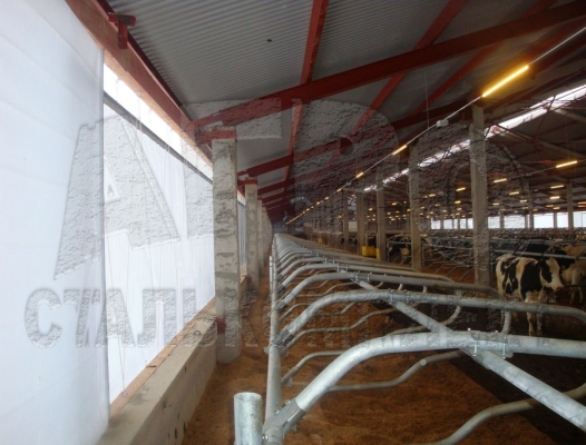 Беспривязное содержание