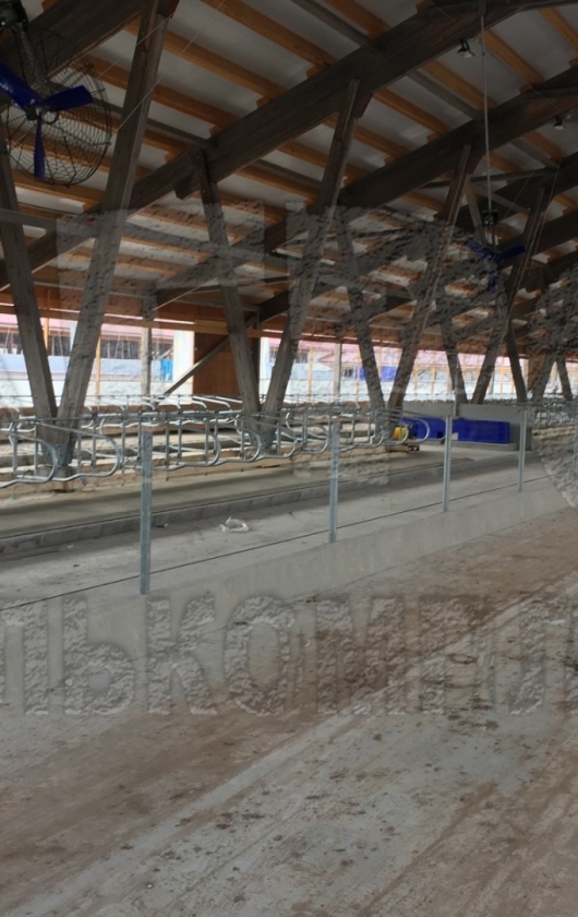 Беспривязное содержание