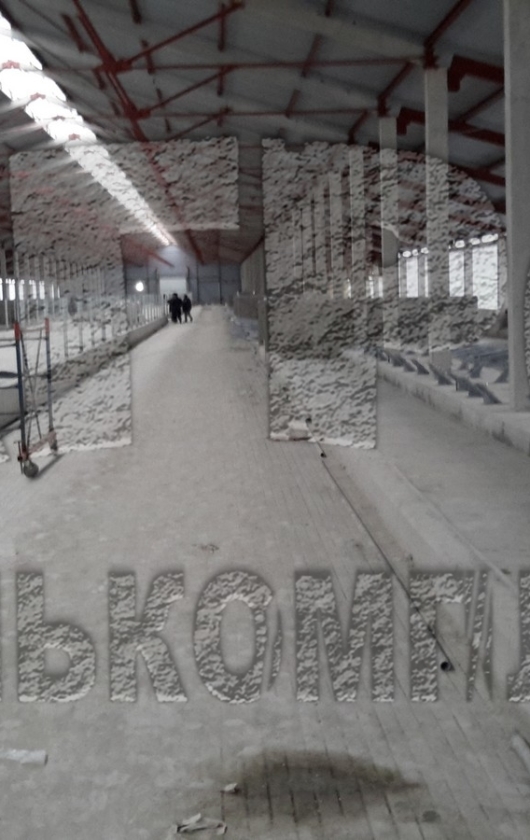 Стойла КРС. Станок для осеменения