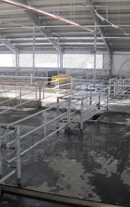 Ограждения для скотопрогона