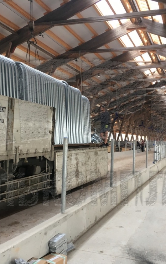 Беспривязное содержание