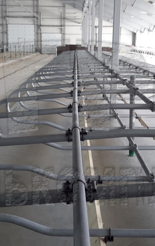 Беспривязное содержание