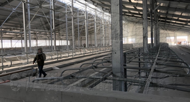 Беспривязное содержание