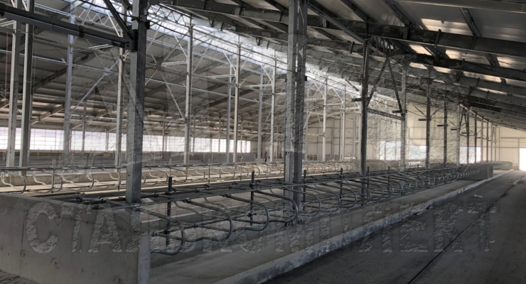 Беспривязное содержание