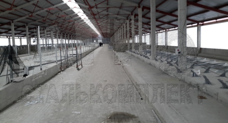 Беспривязное содержание