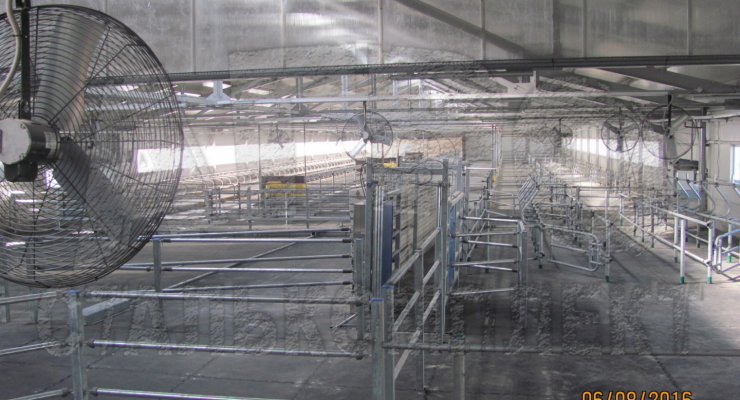 Ограждения для скотопрогона