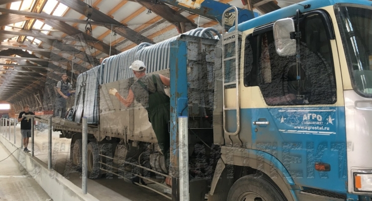 Беспривязное содержание