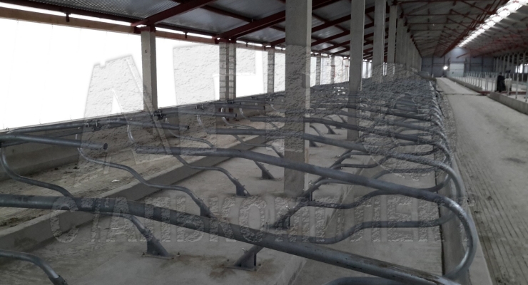 Беспривязное содержание