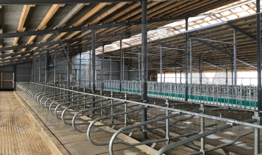 Беспривязное содержание