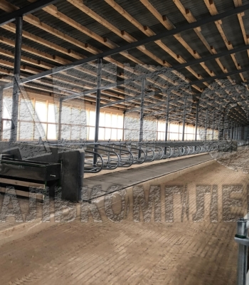 Стойла КРС - видеообзор оборудования