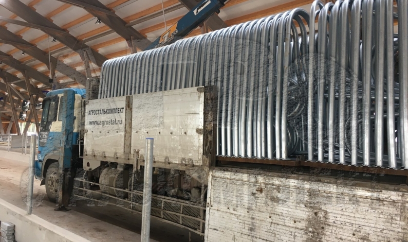 Беспривязное содержание