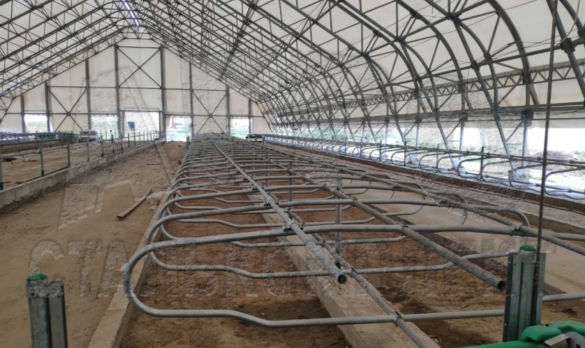 Беспривязное содержание