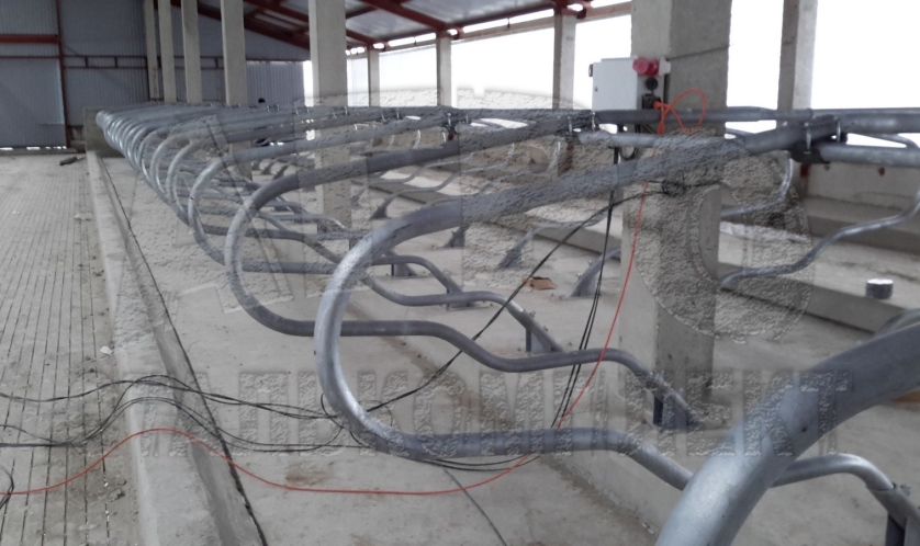 Беспривязное содержание