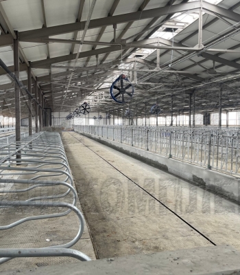 Беспривязное содержание